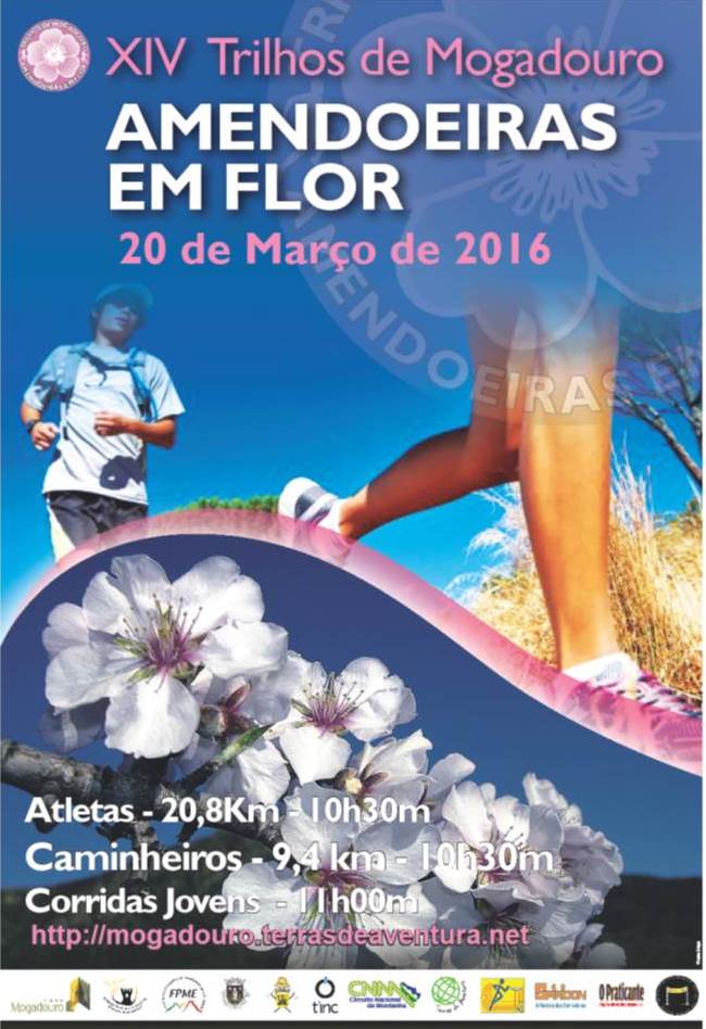 Cartaz Mogadouro 2016